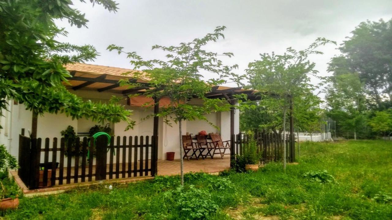 Manueles Ideal Perros Pet Friendly *
