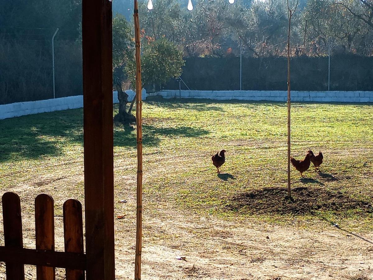 Manueles Ideal Perros Pet Friendly Holiday home *