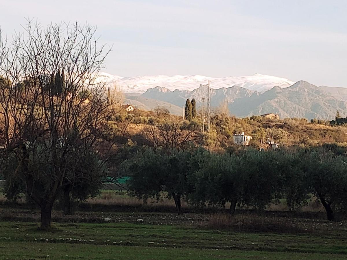 Holiday home Manueles Ideal Perros Pet Friendly Gojar