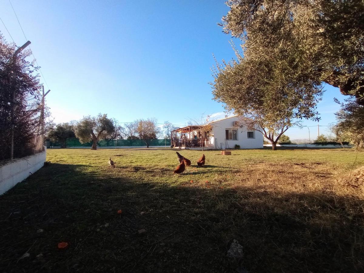 Manueles Ideal Perros Pet Friendly Ferienhaus *