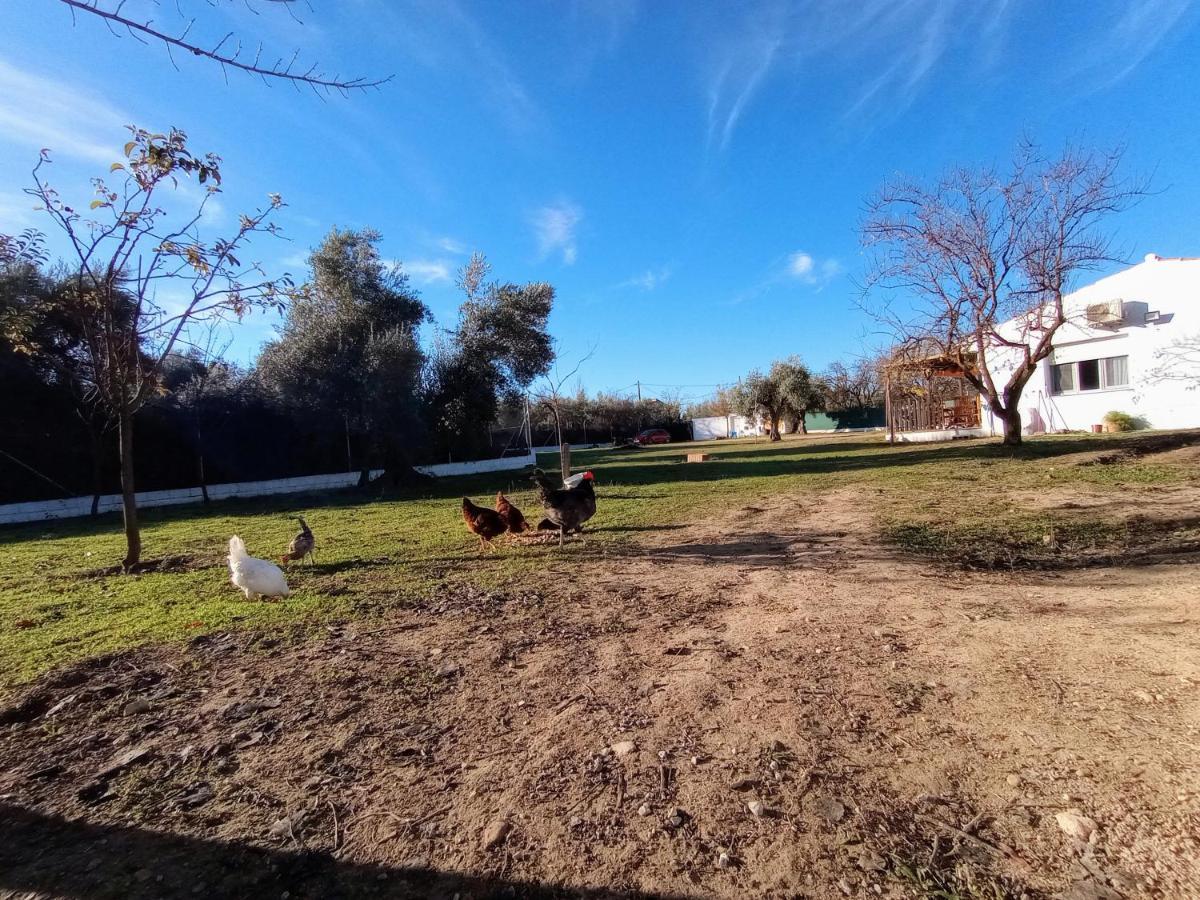 Ferienhaus Manueles Ideal Perros Pet Friendly