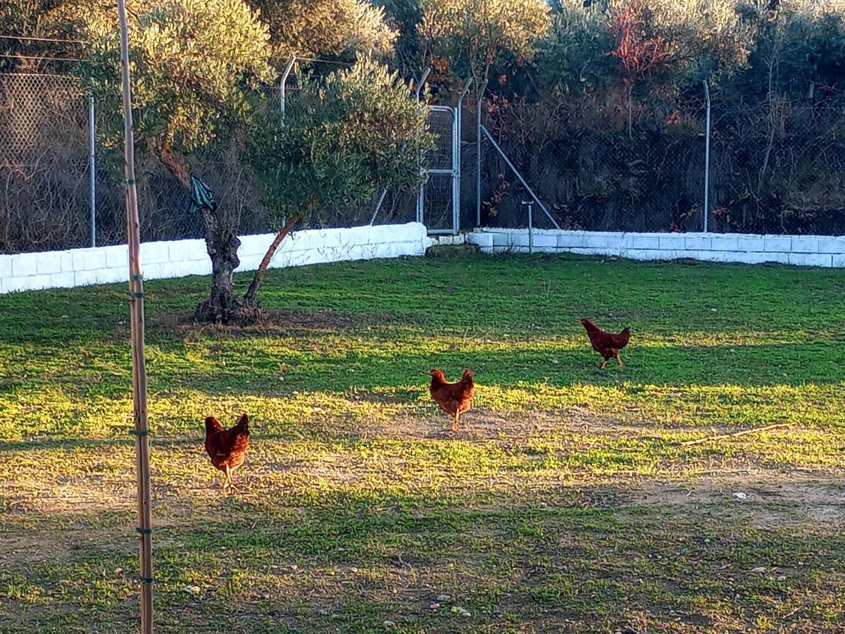 Holiday home Manueles Ideal Perros Pet Friendly