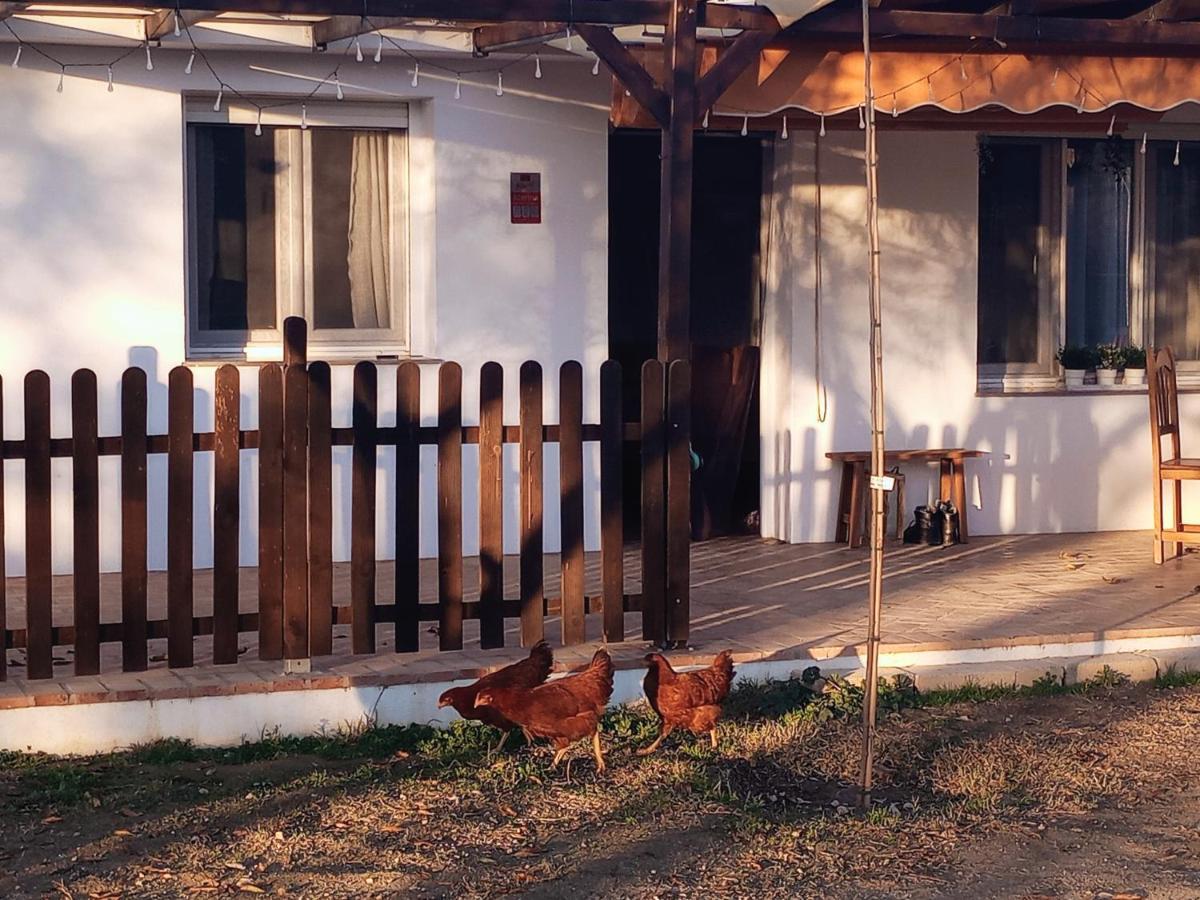 Ferienhaus Manueles Ideal Perros Pet Friendly *