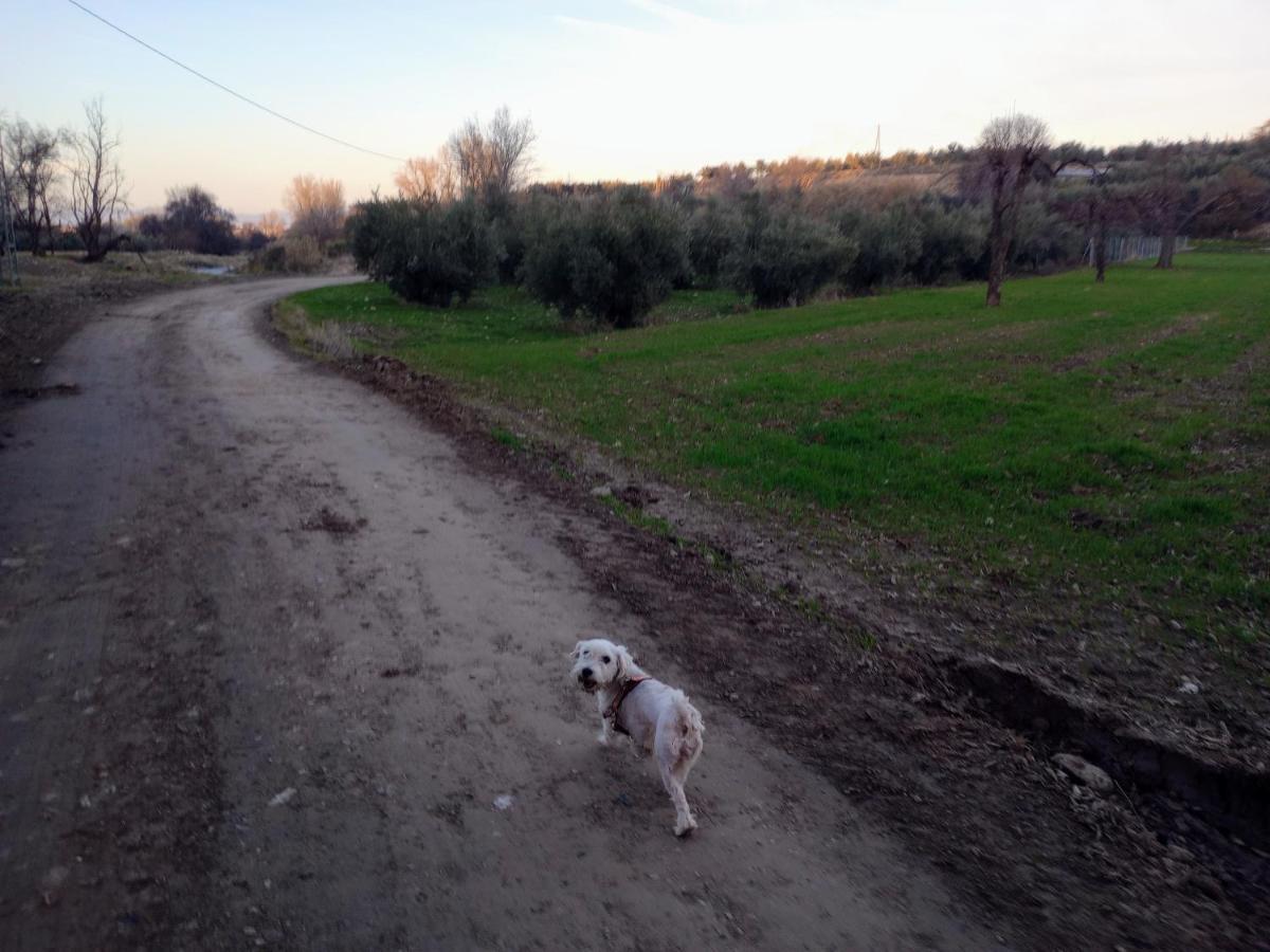Manueles Ideal Perros Pet Friendly Holiday home Gojar