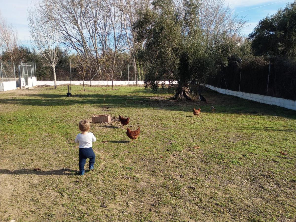 Manueles Ideal Perros Pet Friendly Ferienhaus