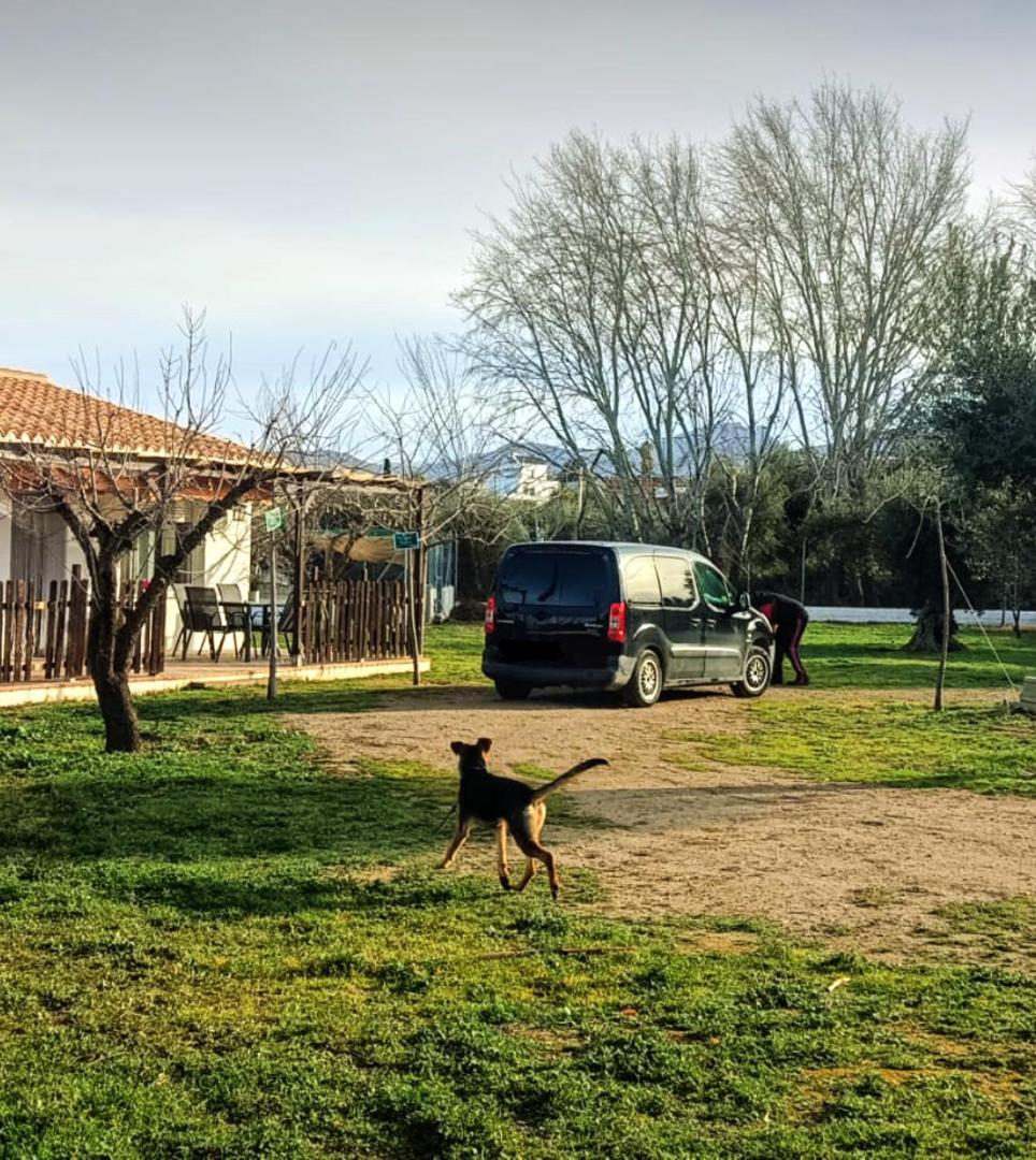 Manueles Ideal Perros Pet Friendly Ferienhaus Gojar