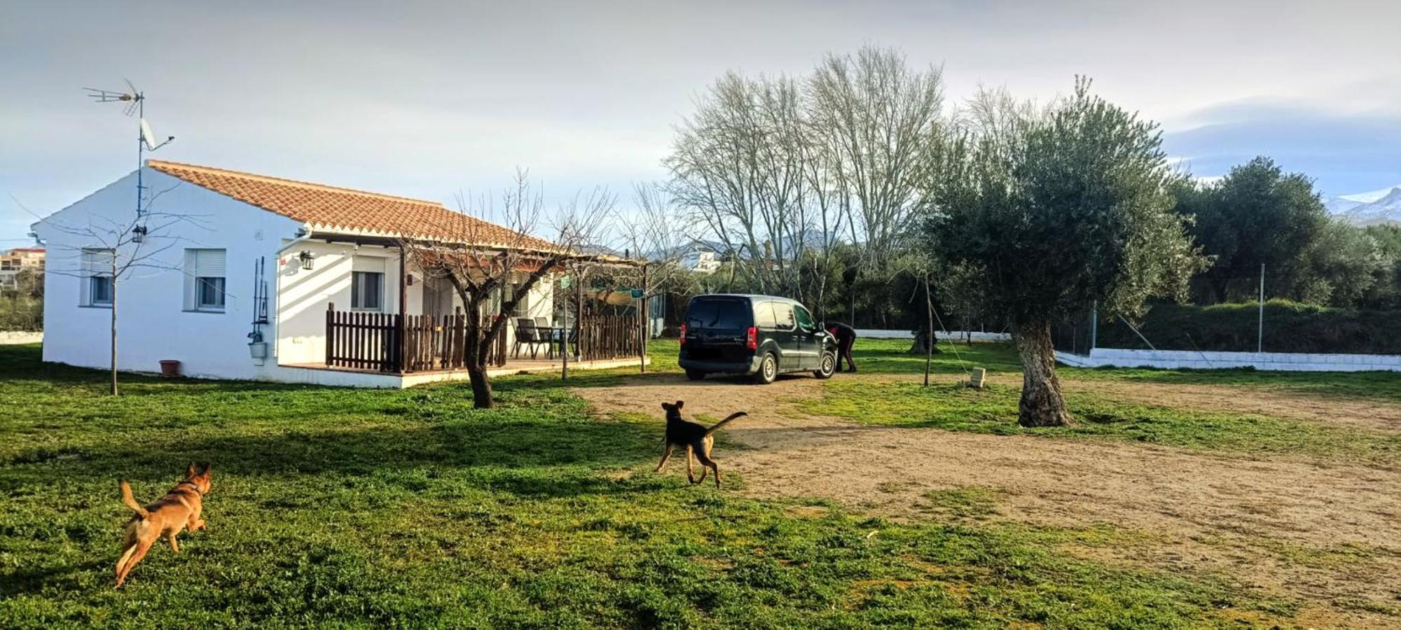 Manueles Ideal Perros Pet Friendly * Gojar