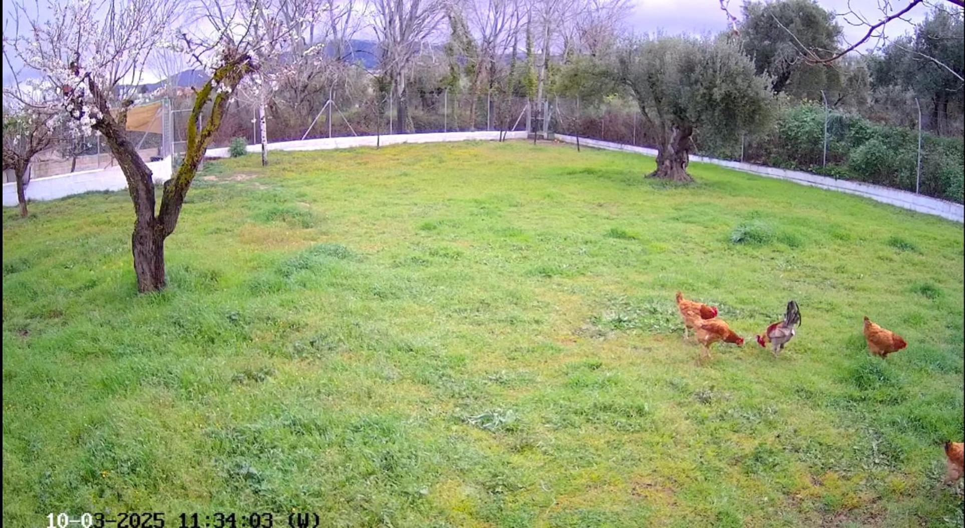 Ferienhaus Manueles Ideal Perros Pet Friendly Gojar
