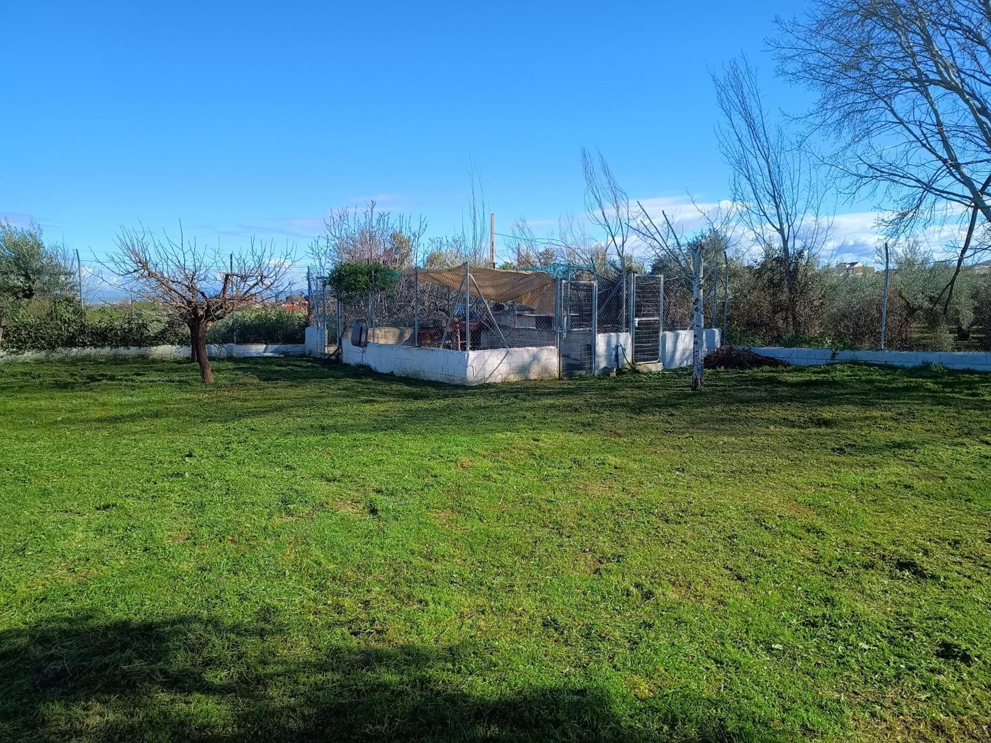 Manueles Ideal Perros Pet Friendly *